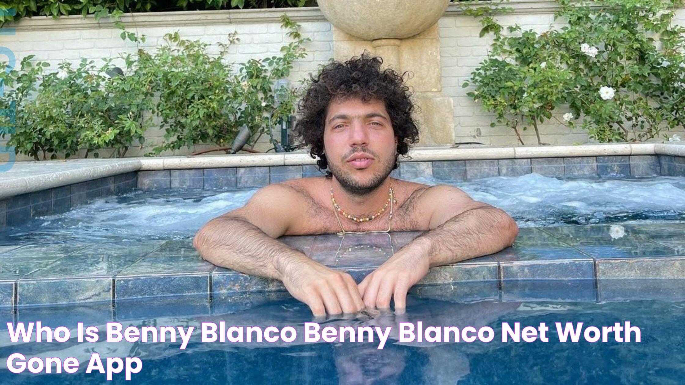 Who is Benny Blanco? Benny Blanco Net Worth Gone App