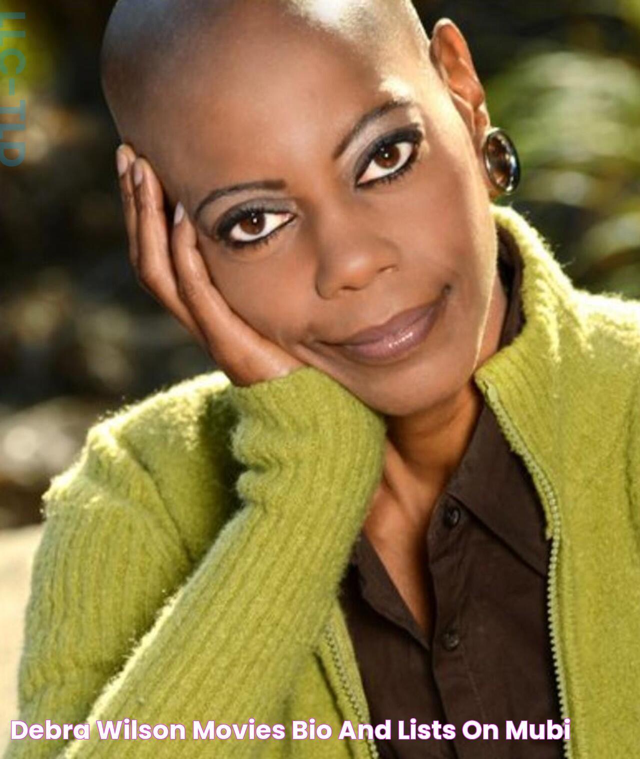 Debra Wilson: A Beacon Of Talent And Inspiration