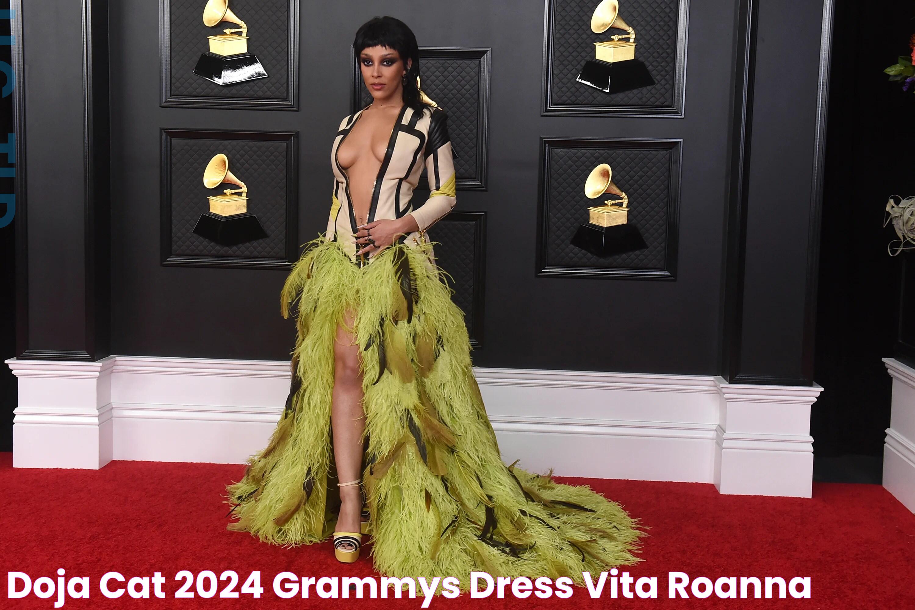 Doja Cat 2024 Grammys Dress Vita Roanna