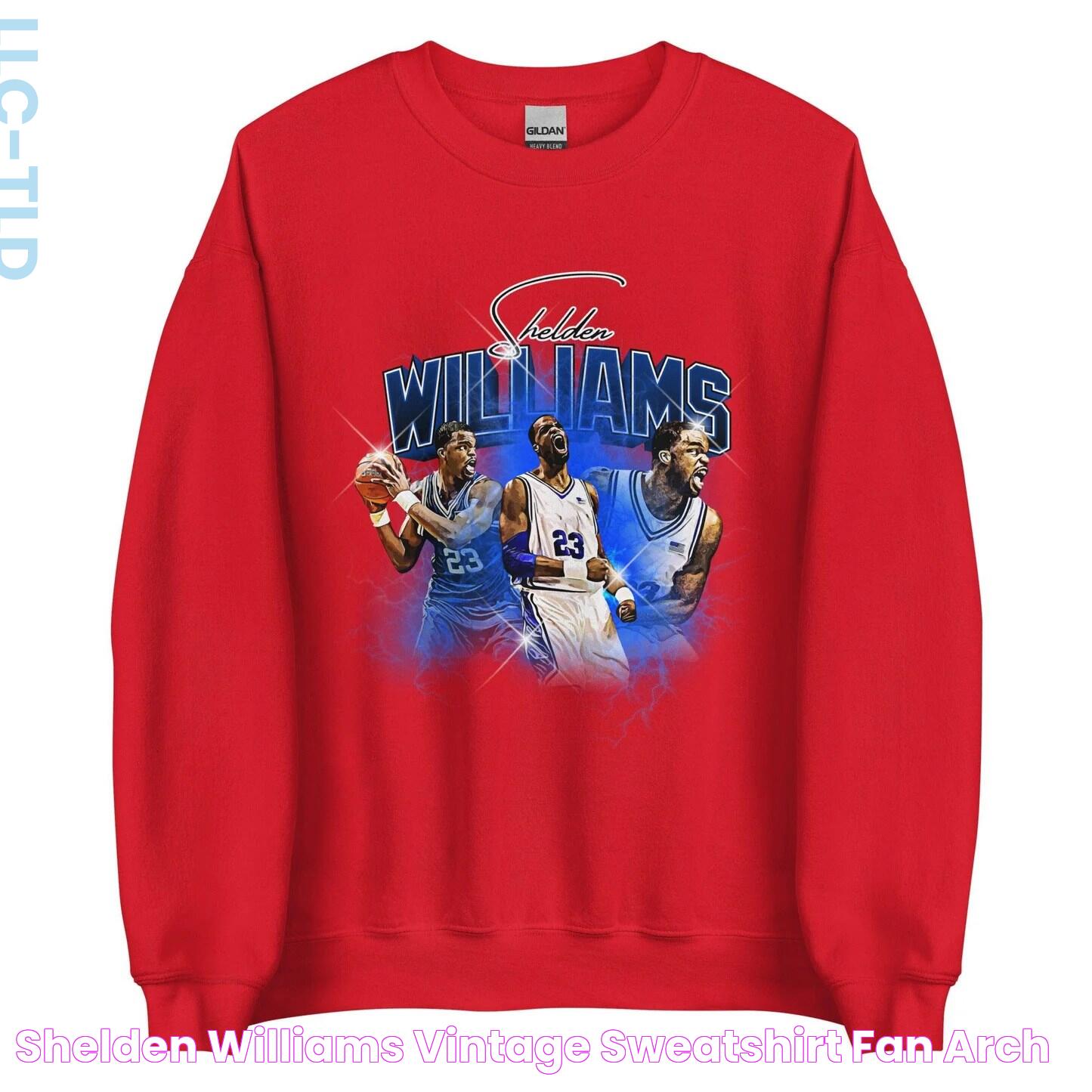 Shelden Williams "Vintage" Sweatshirt Fan Arch