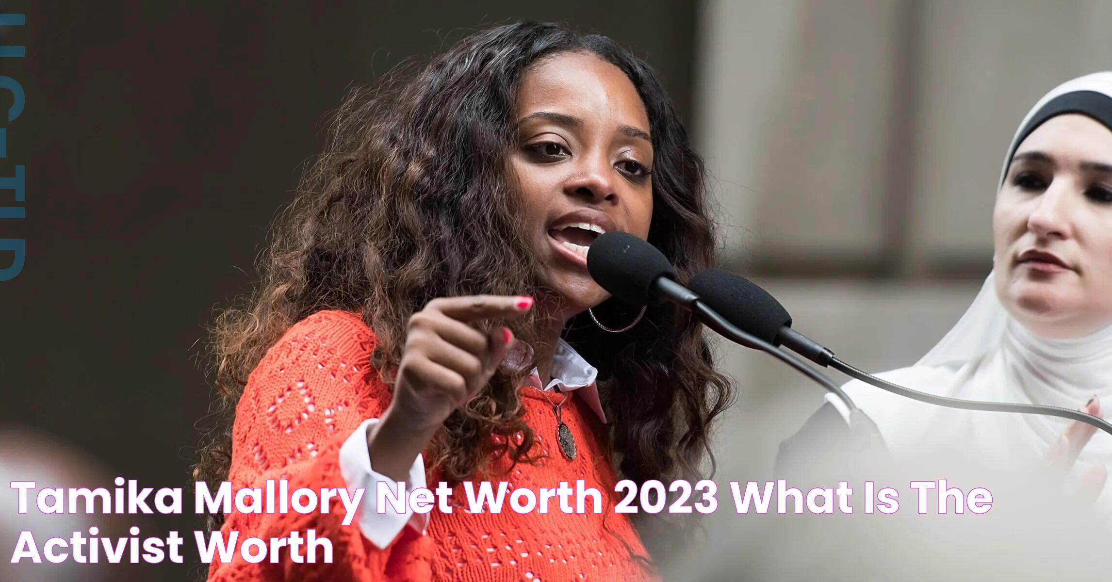 Insights Into Tamika Mallory's Net Worth And Influential Journey