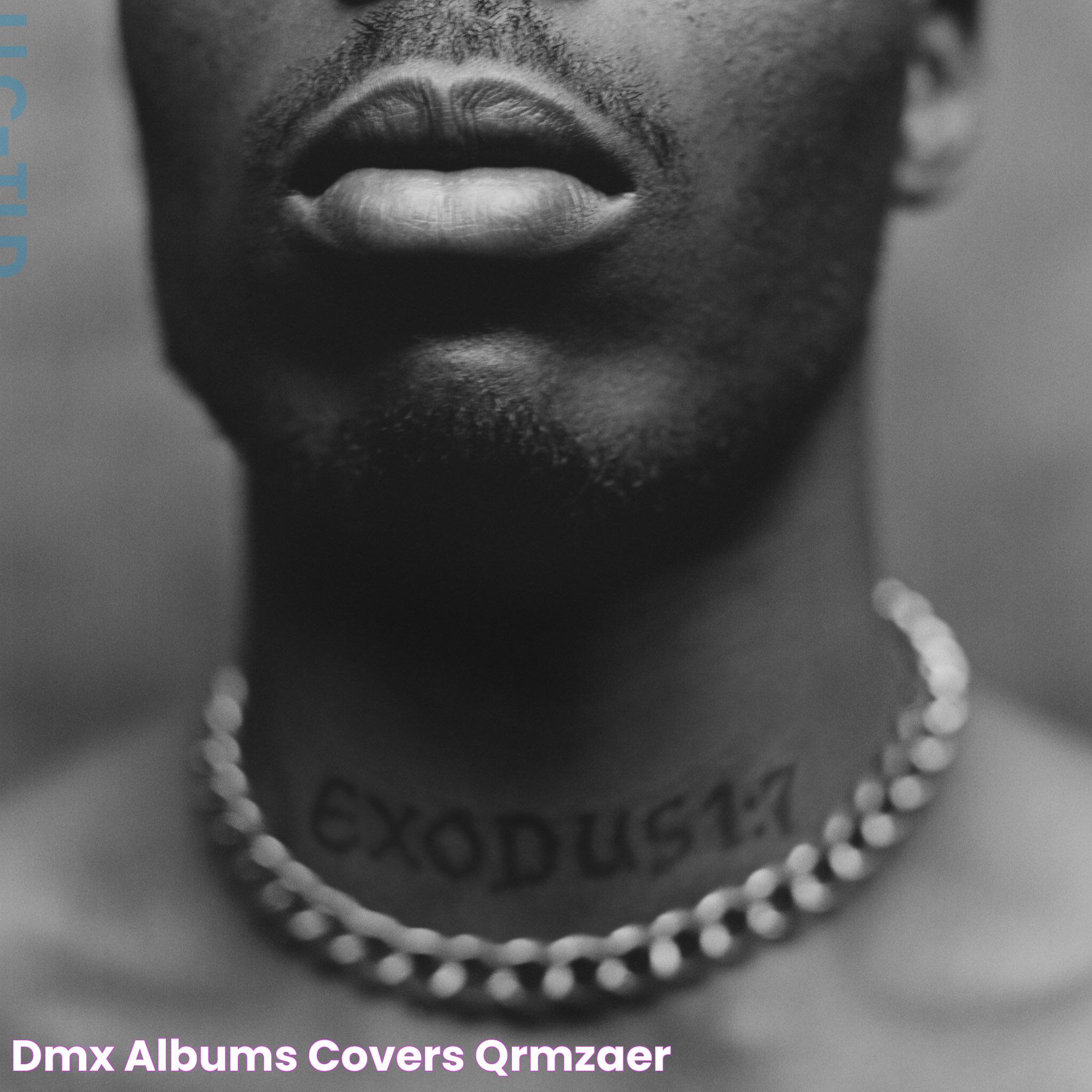 Dmx albums covers qrmzaer