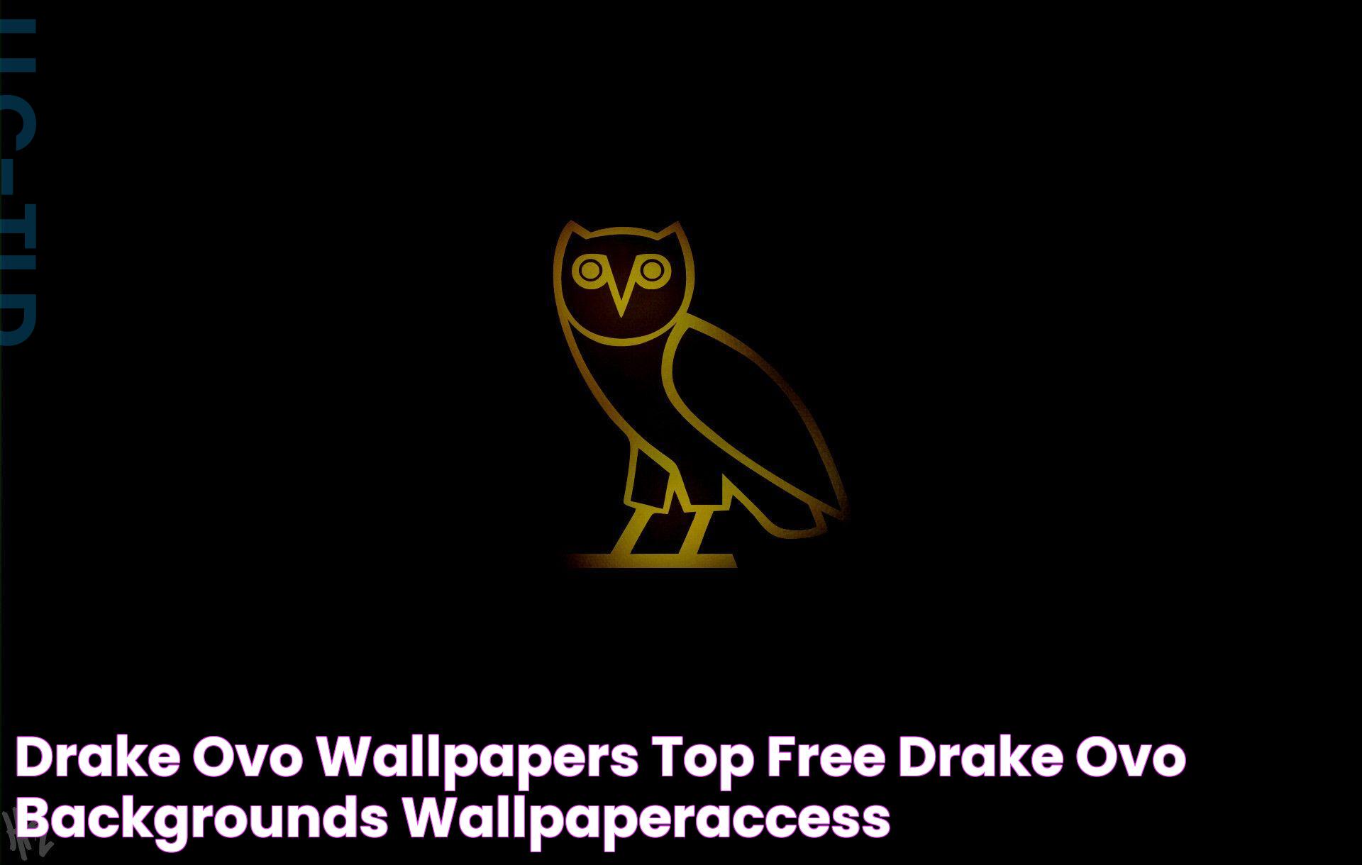 Drake OVO Wallpapers Top Free Drake OVO Backgrounds WallpaperAccess