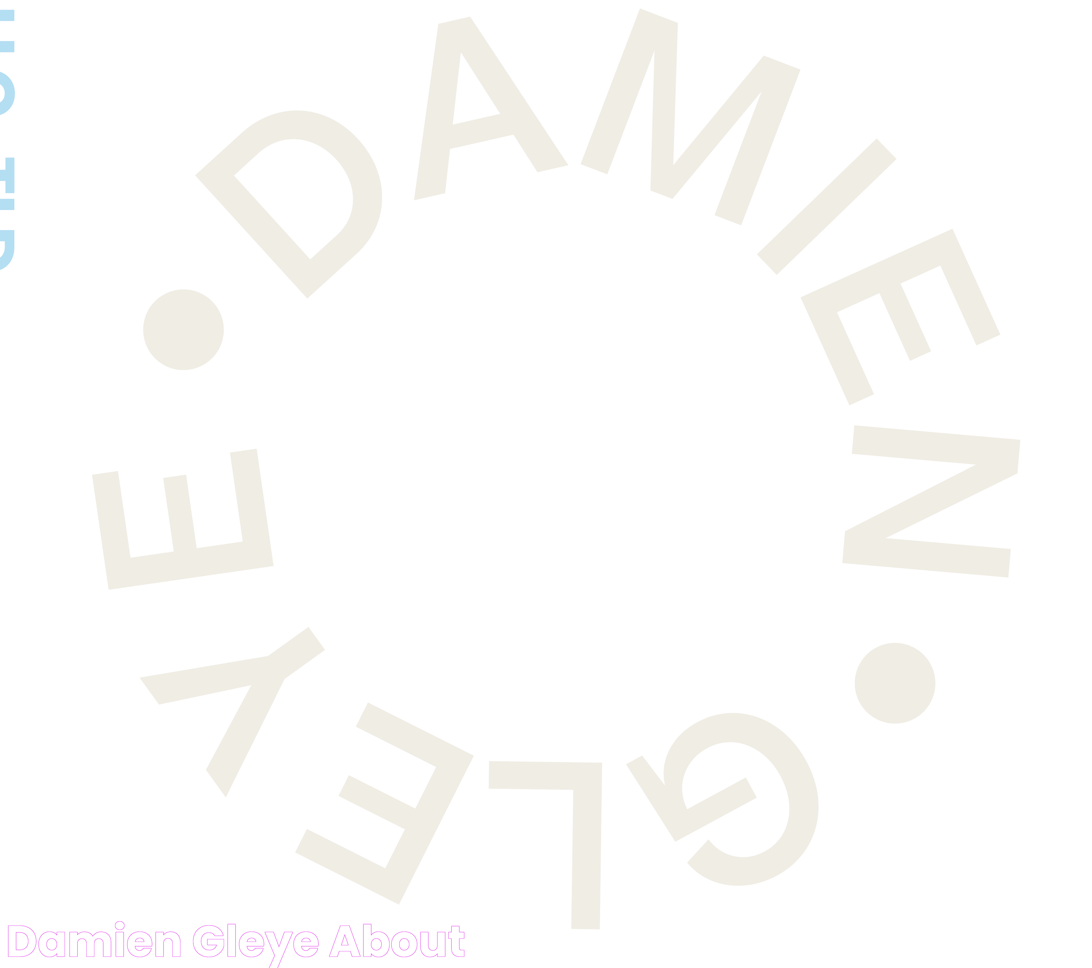 Damien Gleye ABOUT