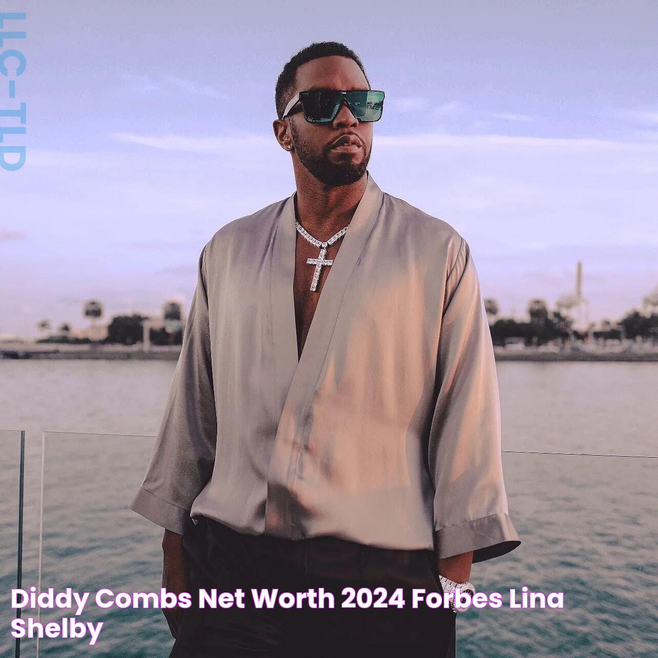 Diddy Combs Net Worth 2024 Forbes Lina Shelby