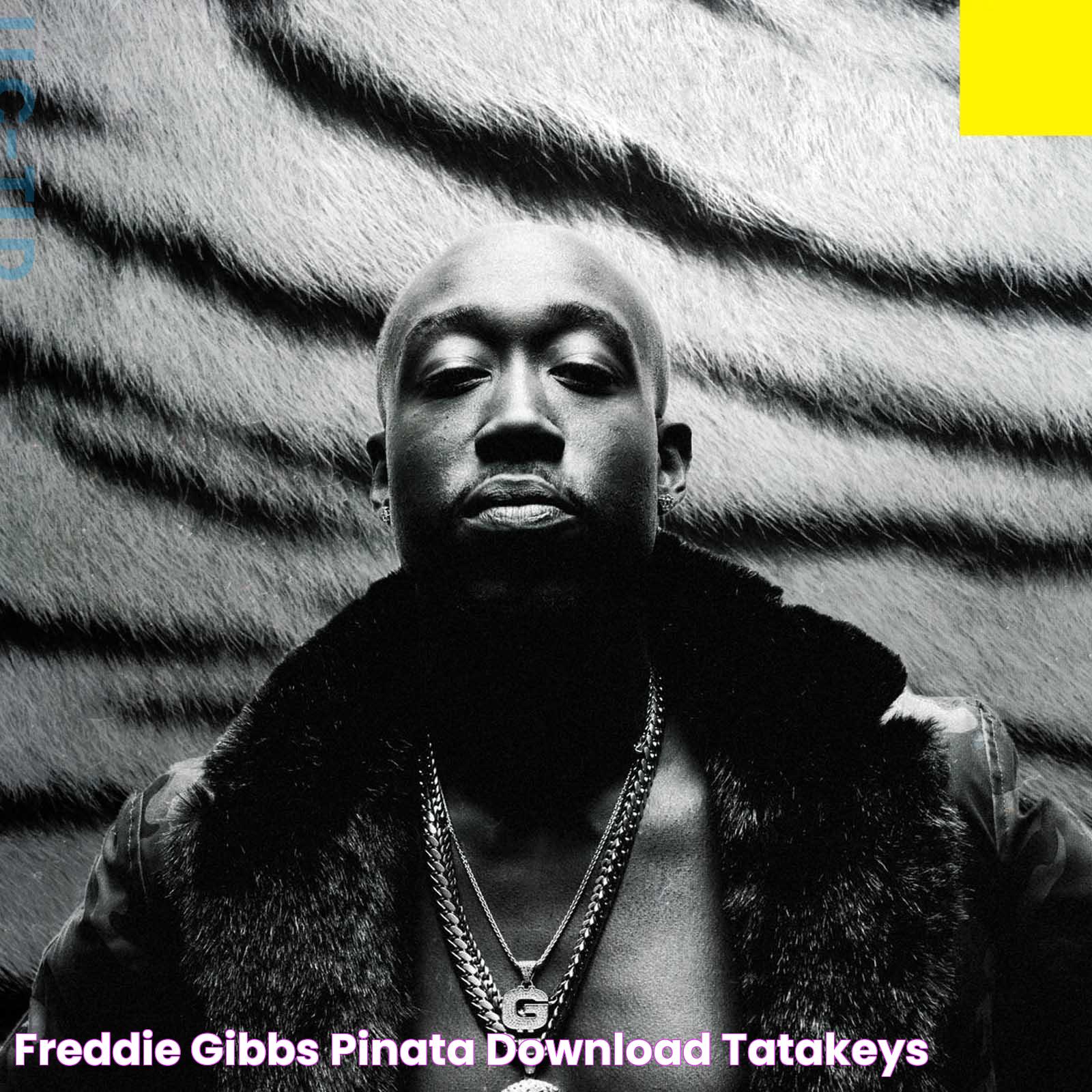 The Impact Of Freddie Gibbs' "Pinata 1960": A Cultural Phenomenon