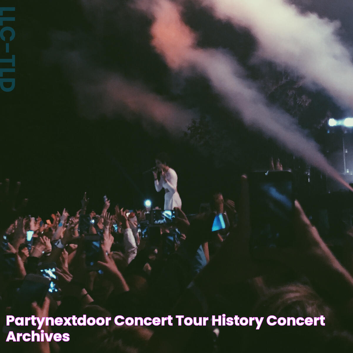 Ultimate Guide To The PartyNextDoor Concert Experience