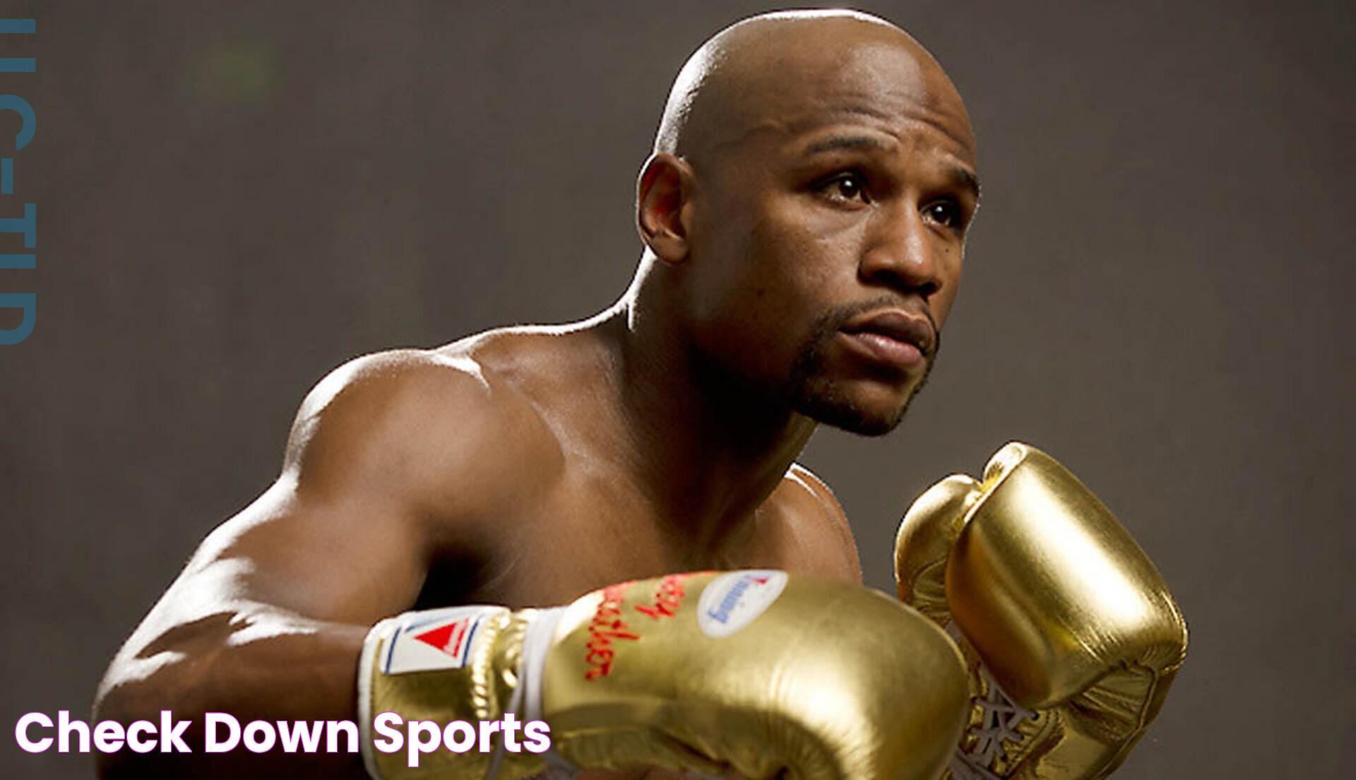 Mayweather Net Worth: A Deep Dive Into The Wealth Of The Boxing Legend