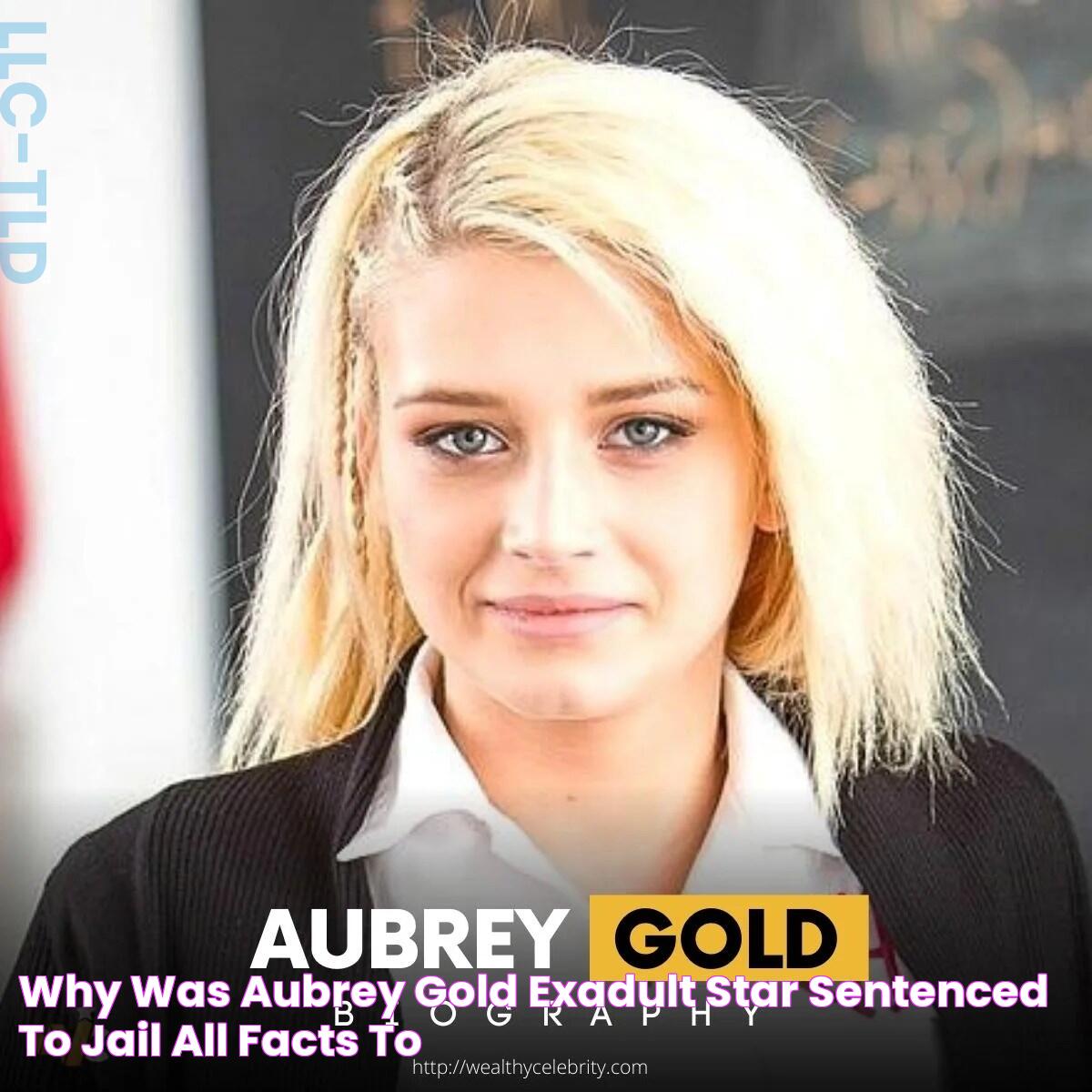 Why Was Aubrey Gold (ExAdult Star) Sentenced To Jail? All Facts To