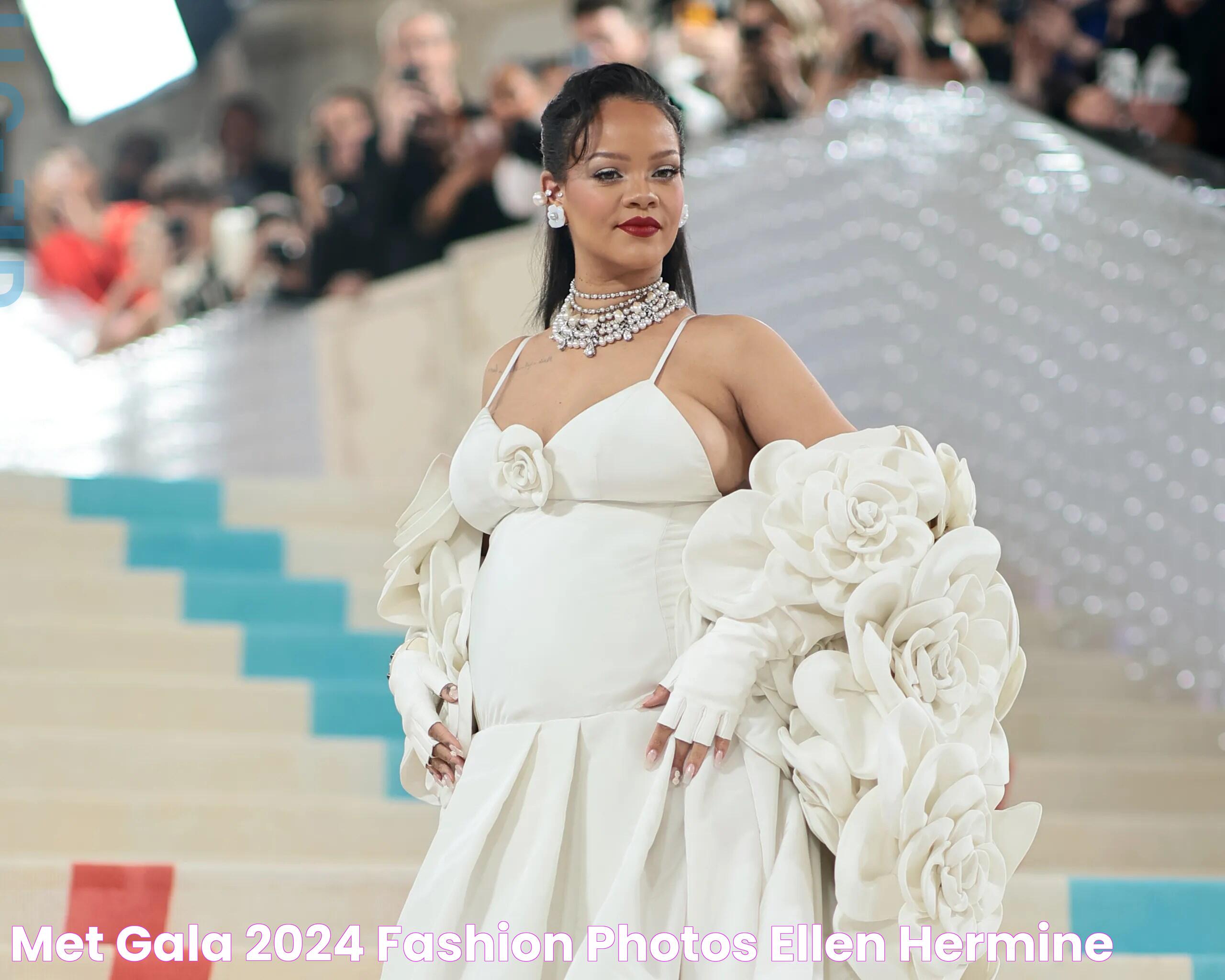 Met Gala 2024 Fashion Photos Ellen Hermine