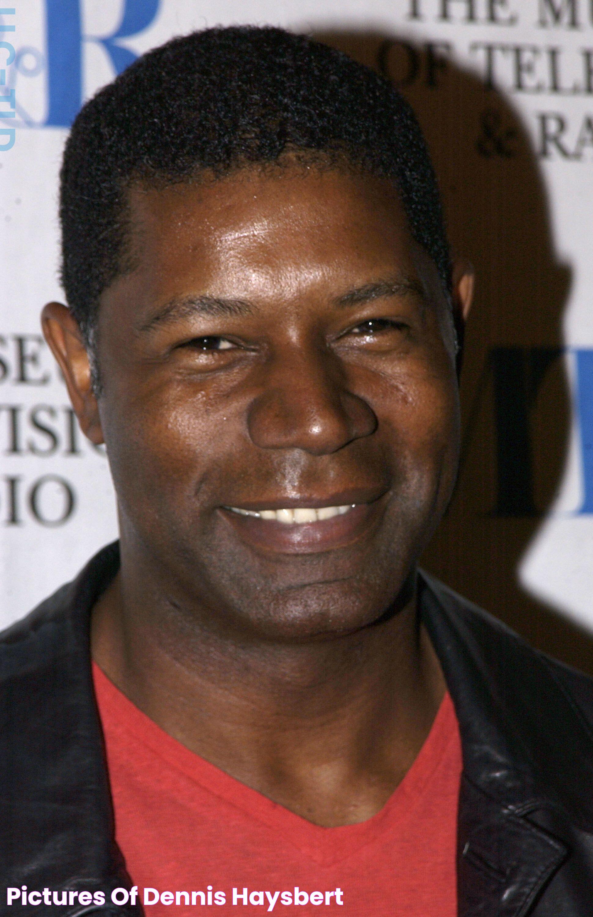 All About Dennis Haysbert: Life, Career, And Impact