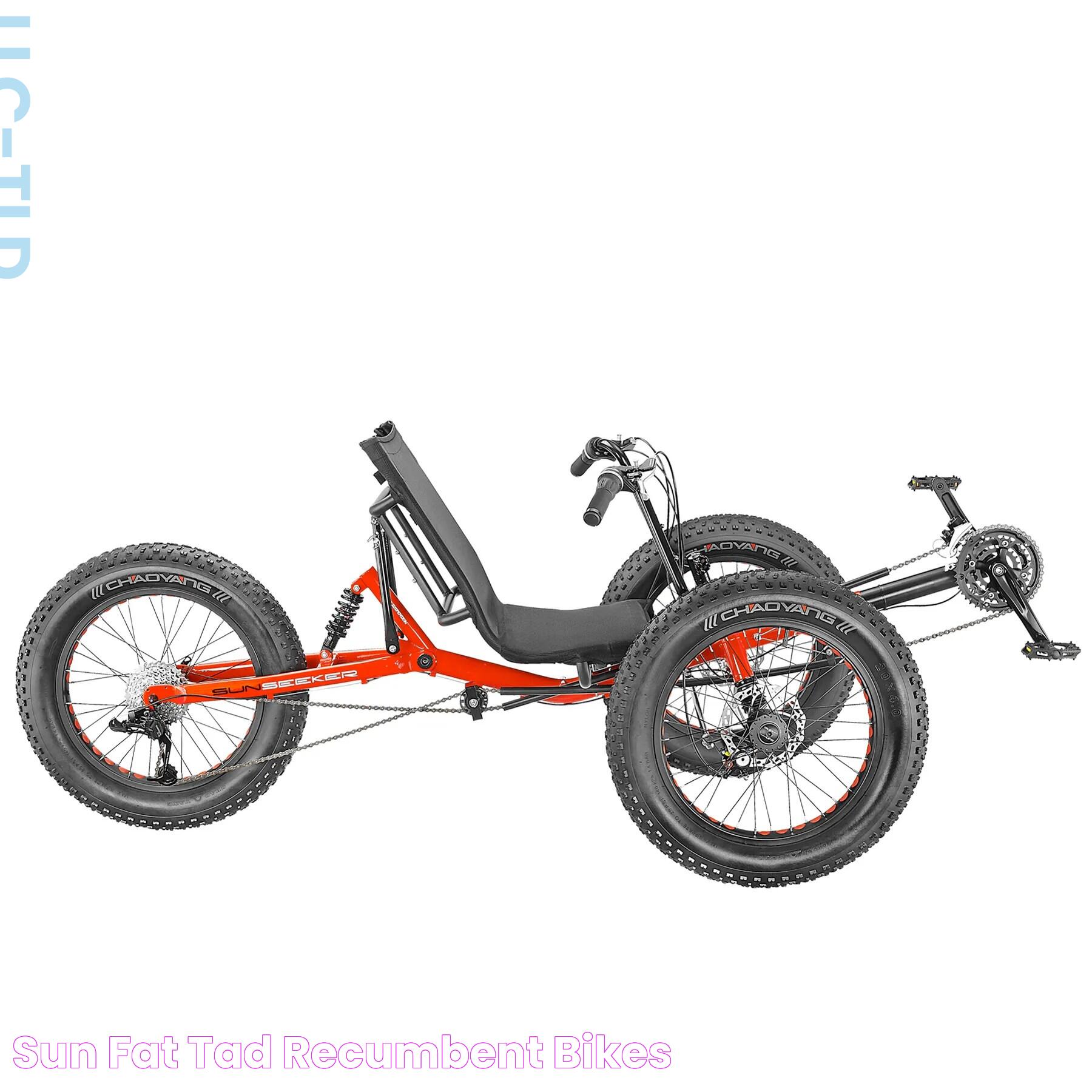 Sun FAT TAD Recumbent Bikes