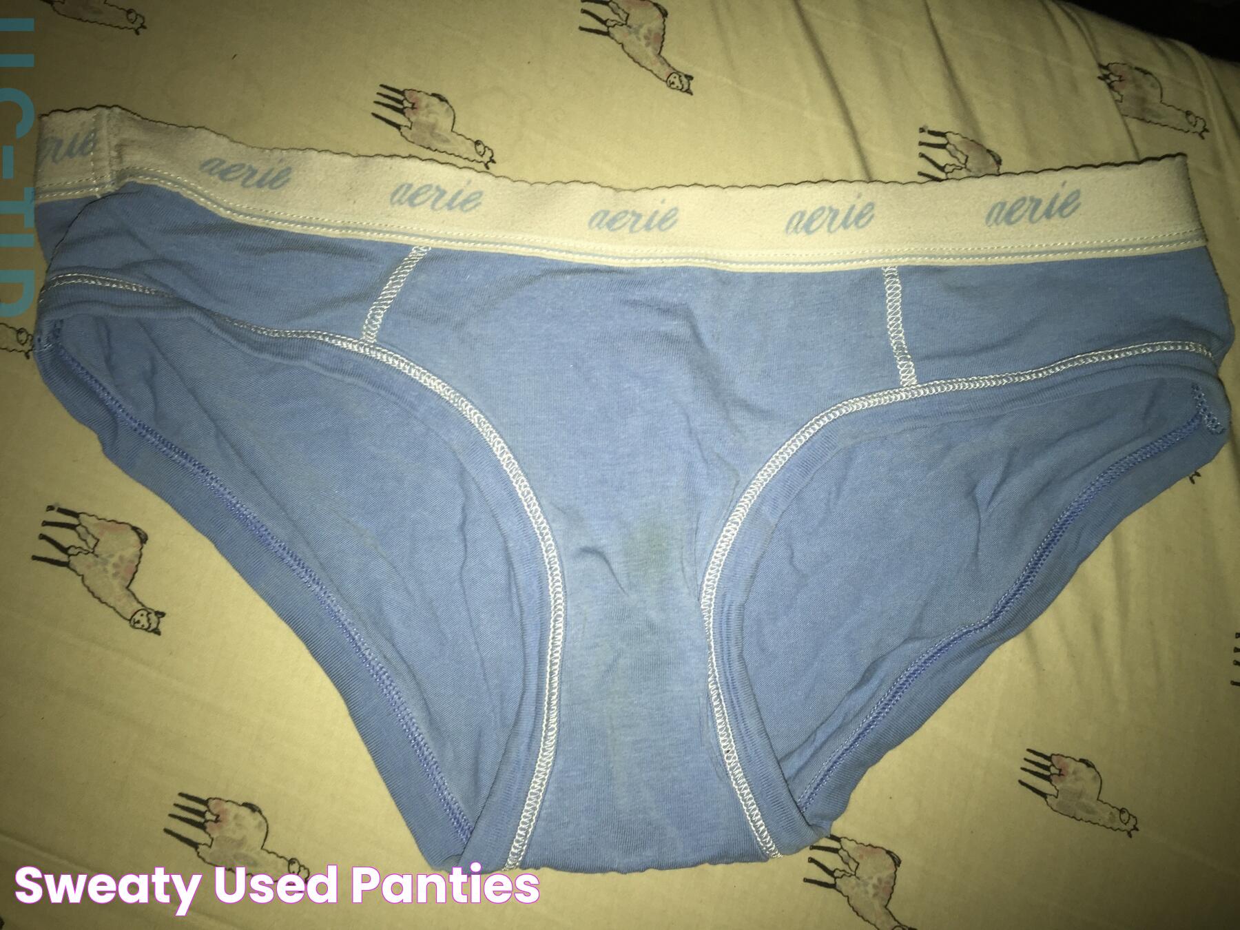 Sweaty used panties