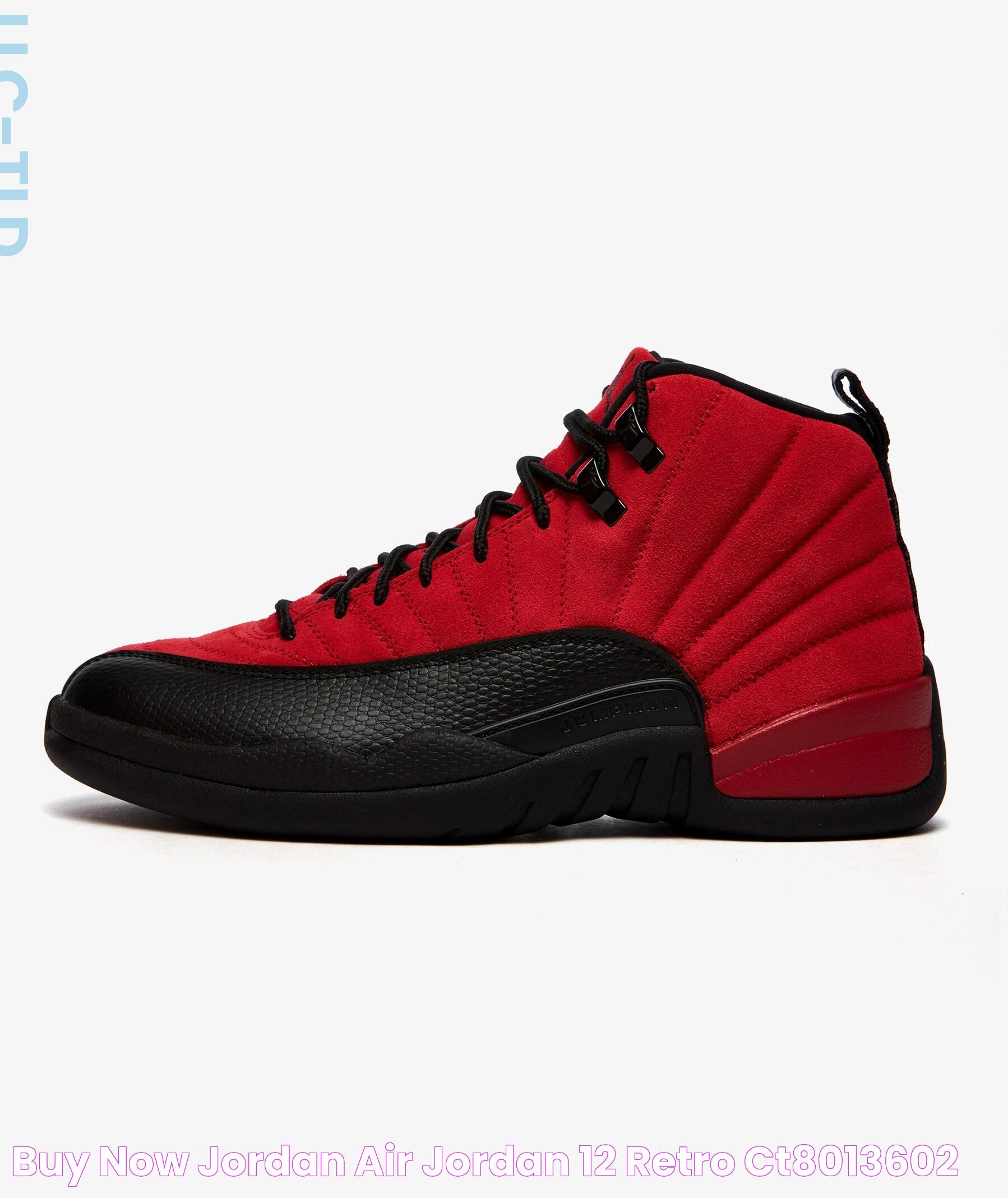 Buy now Jordan AIR JORDAN 12 RETRO CT8013602