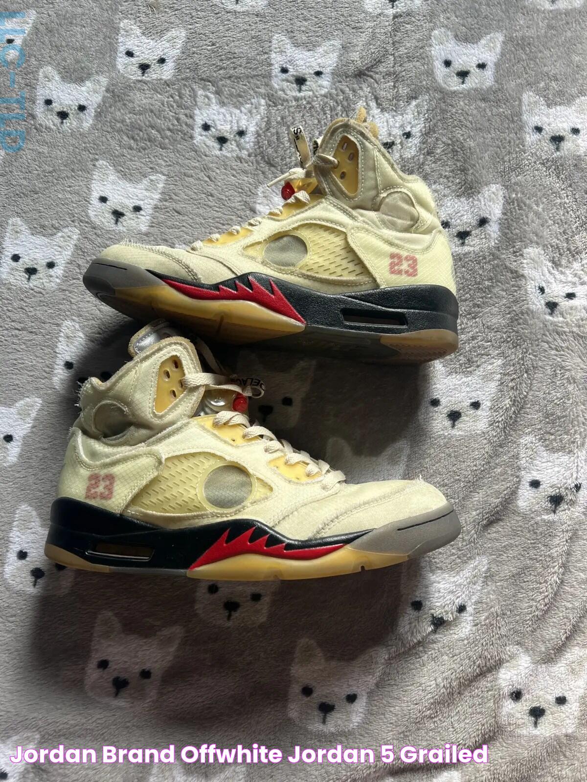 Jordan Brand offwhite jordan 5 Grailed