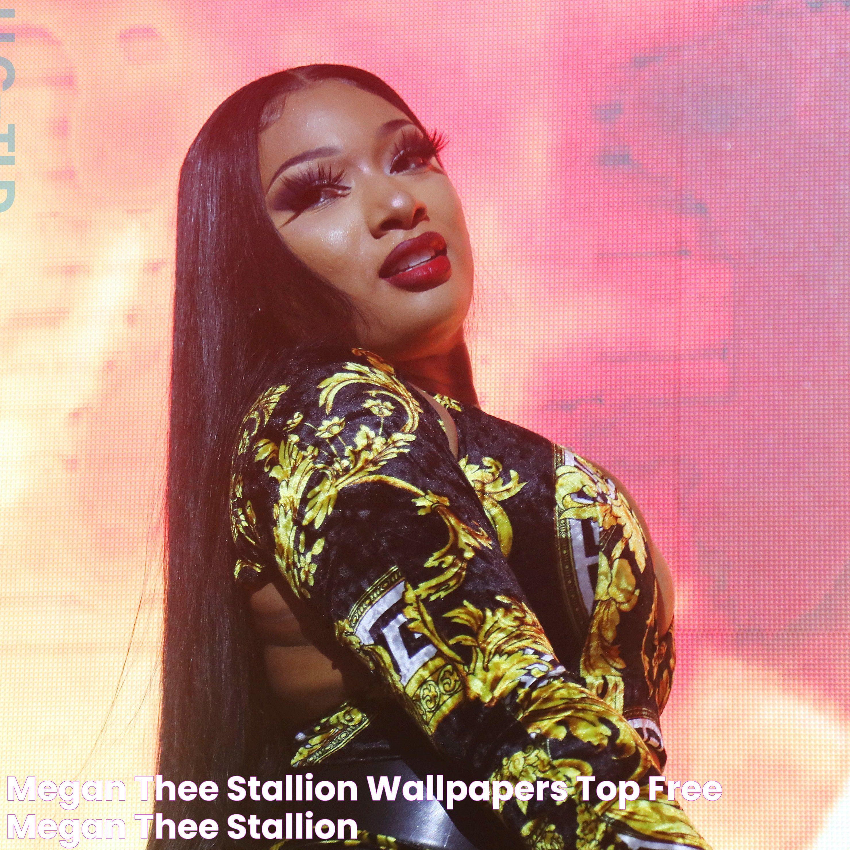 Megan Thee Stallion Wallpapers Top Free Megan Thee Stallion