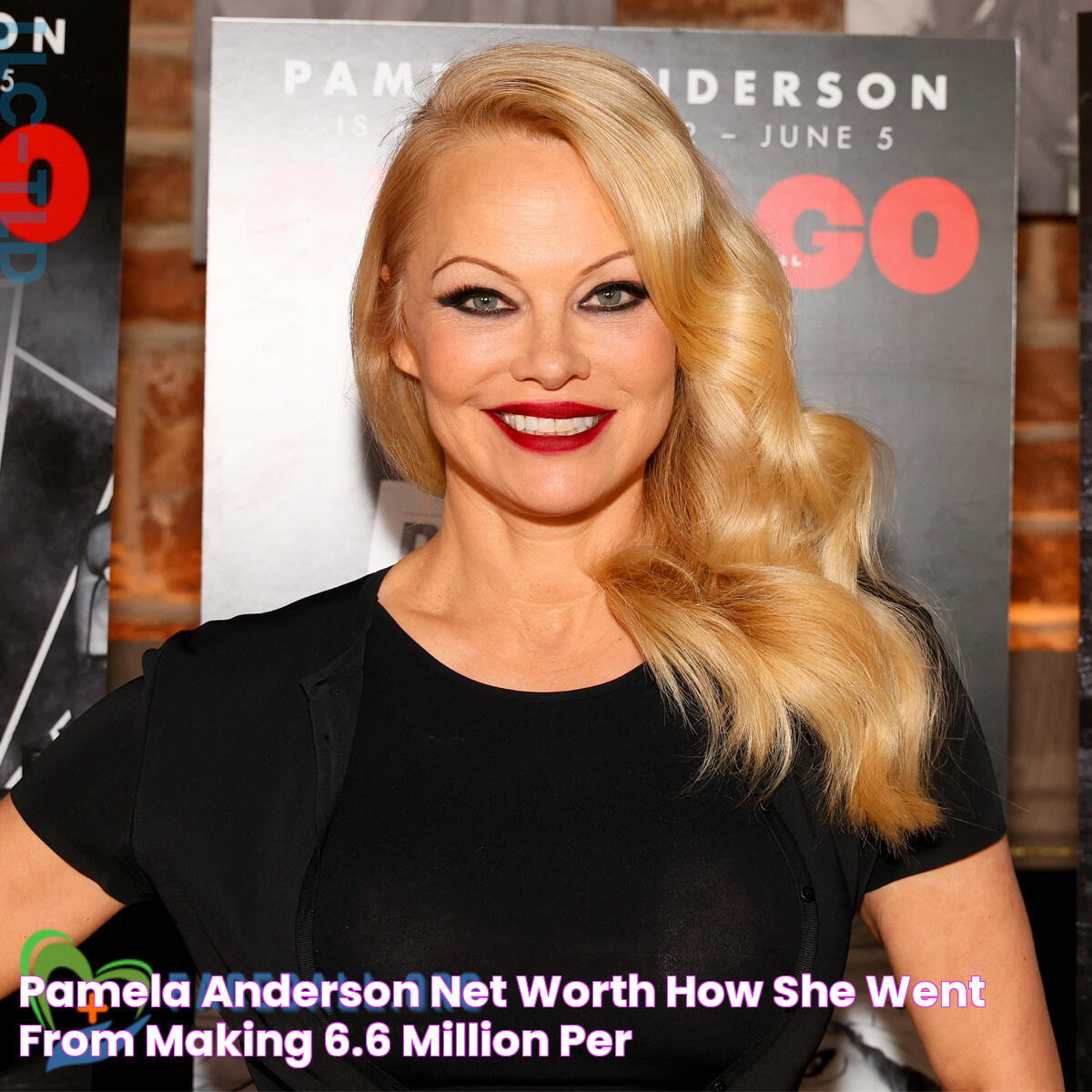 Future Wealth: Pamela Anderson Net Worth 2024 Insights