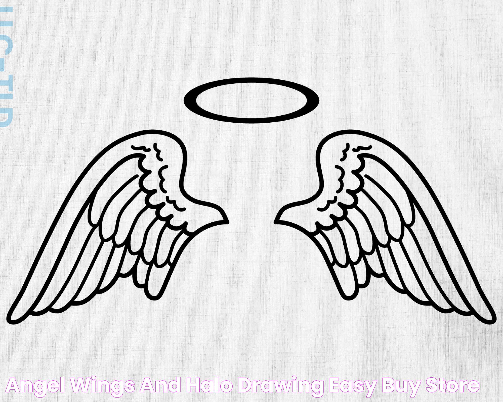 Mastering The Art Of Jodan 4 Wings Drawing For Beginners And Enthusiasts