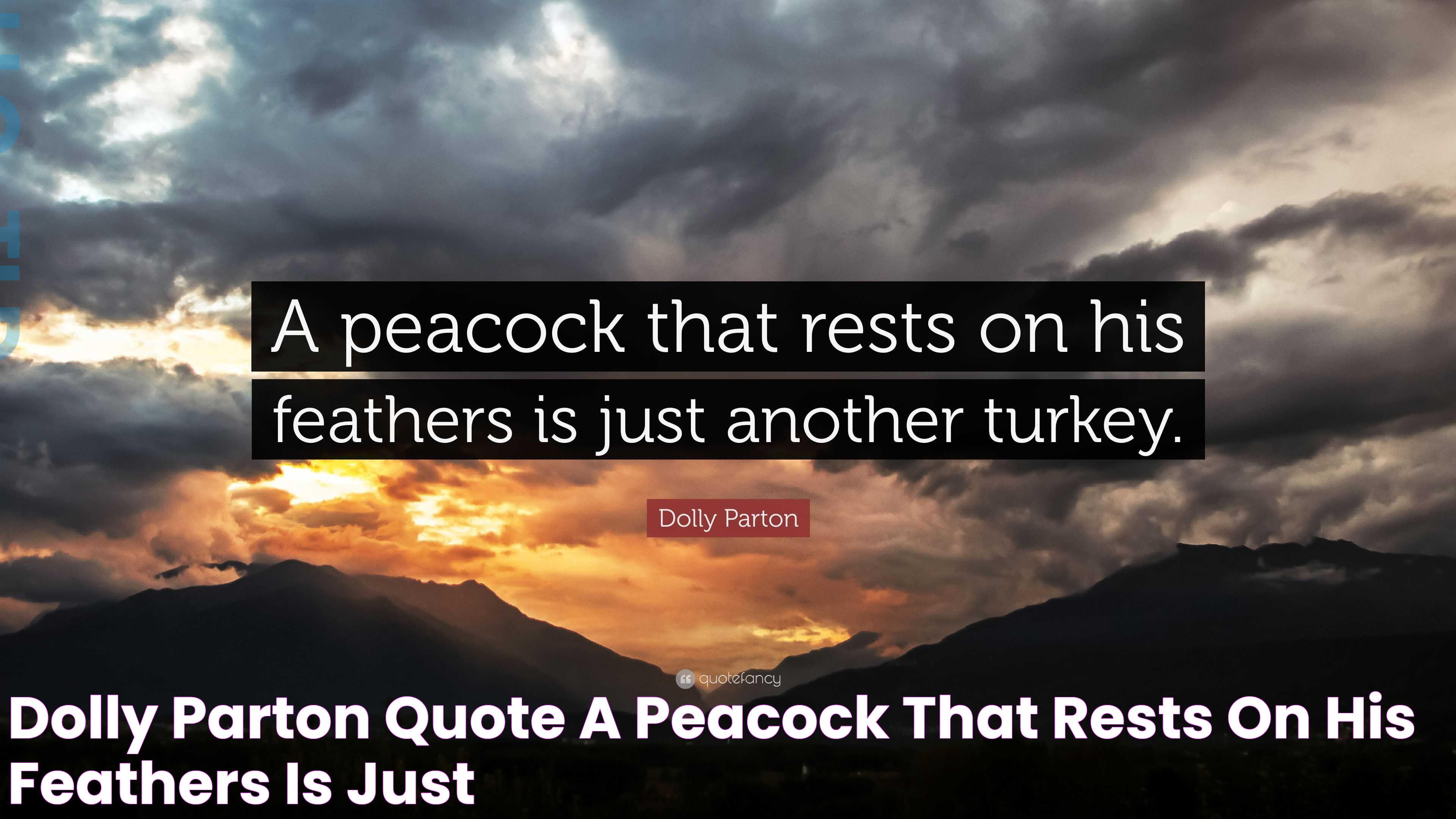 Dolly Parton Quote “A peacock that rests on his feathers is just