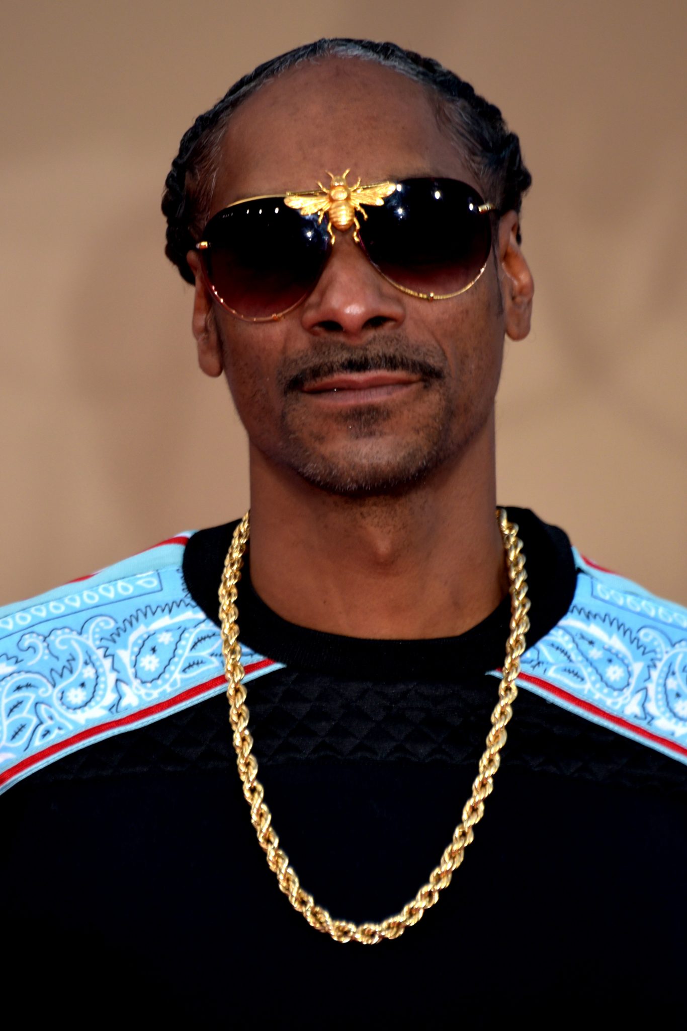 Snoop Dogg Politics: An Insight Into The Rapper's Political Involvement And Influence