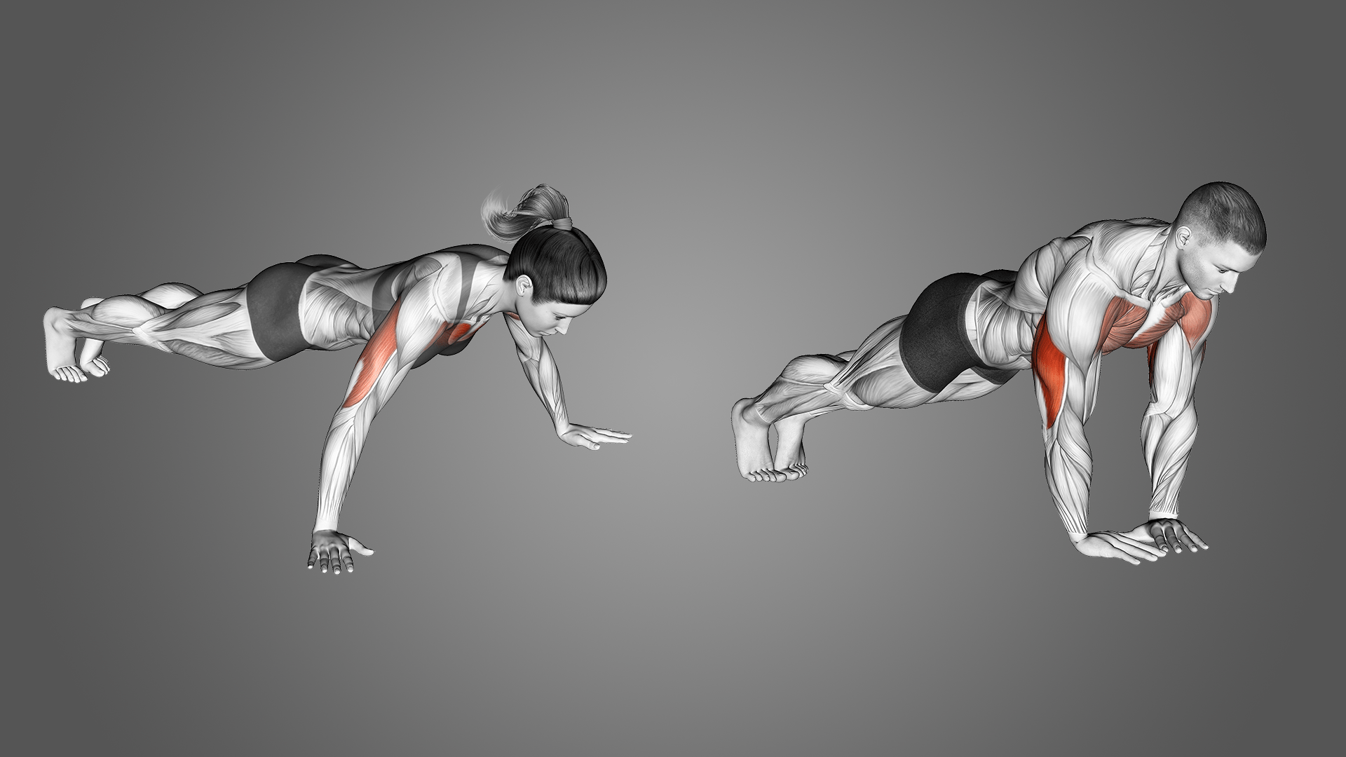 Wide Vs Narrow PushUps Differences Explained Inspire US, 59 OFF