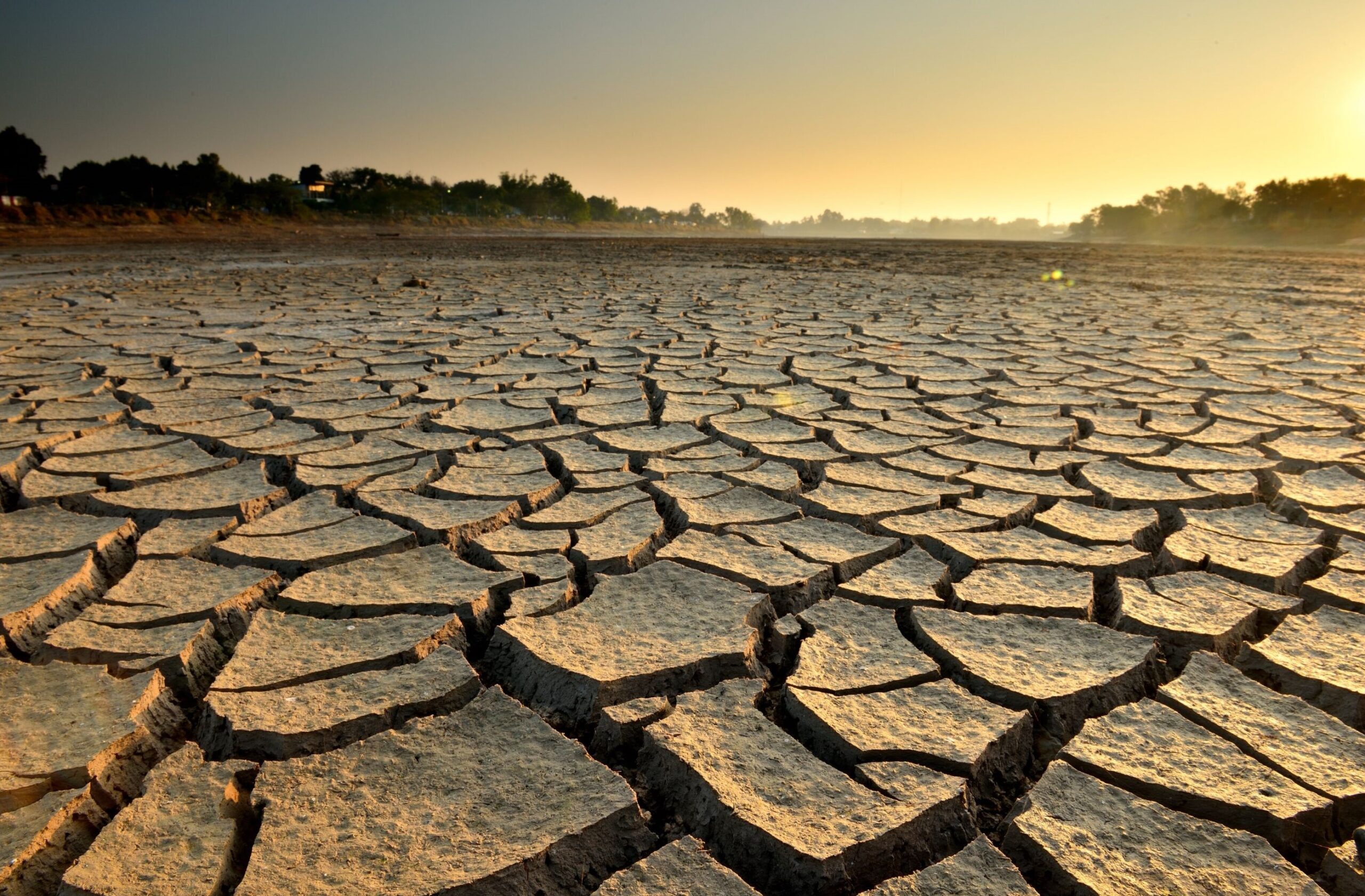 Unraveling The Mystery: Thought It Was A Drought Meaning