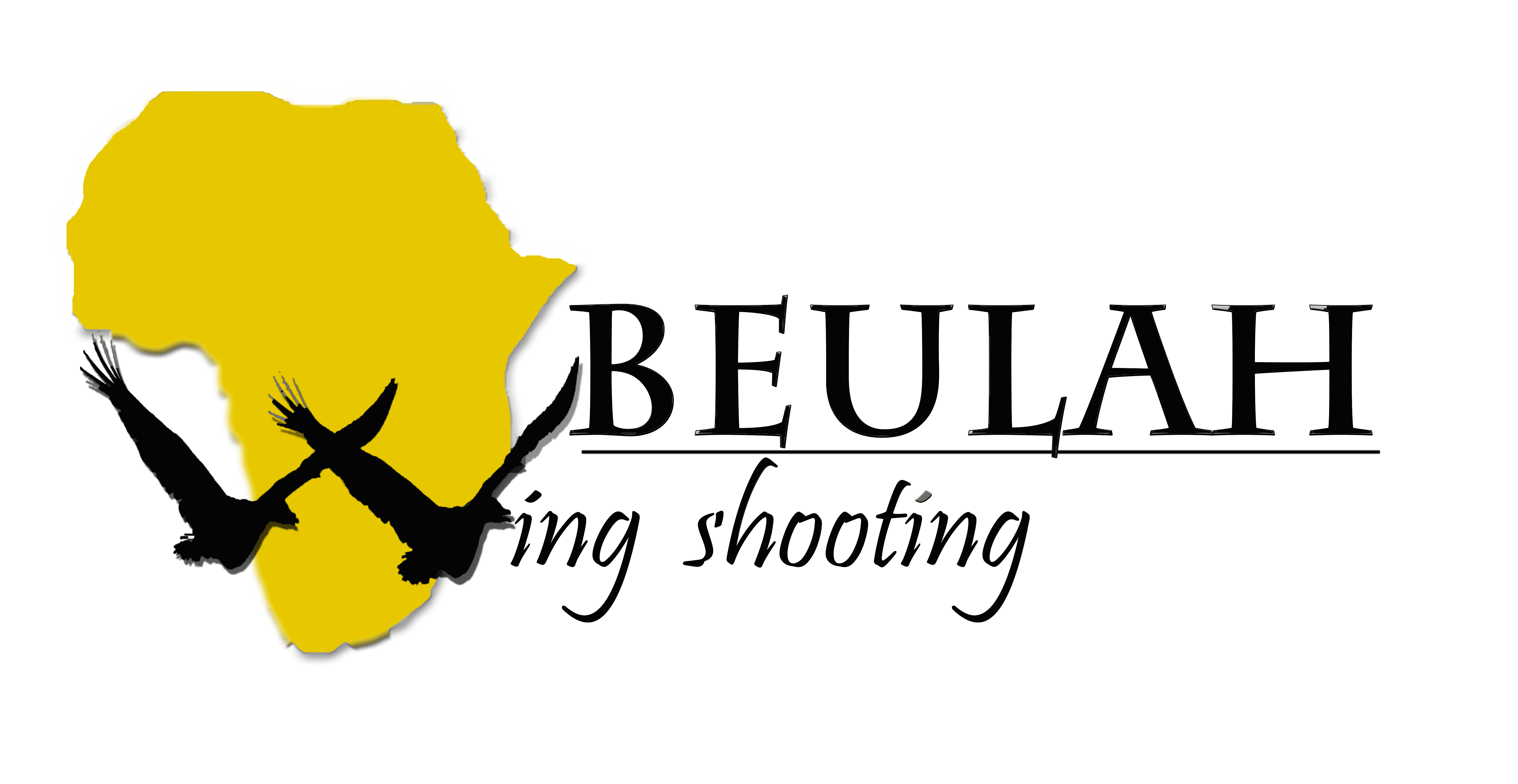 Insightful Analysis Of Truebleeda Shooting Incident