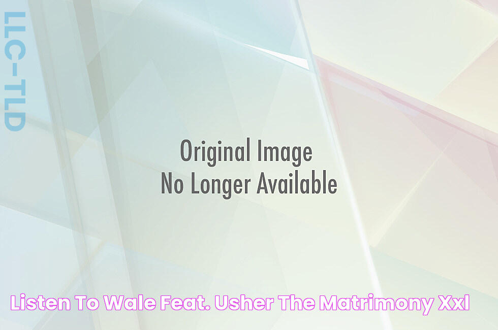 Wale Featuring Usher: The Dynamic Duo Of Hip-Hop And R&amp;B